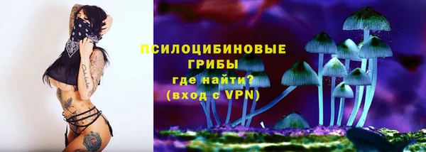 бошки Алзамай