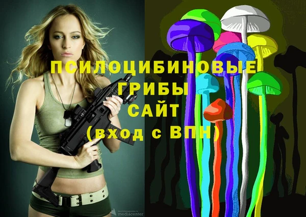 ALPHA PVP Алексеевка