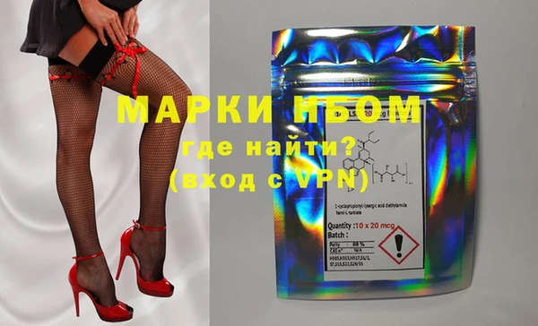стафф Семилуки