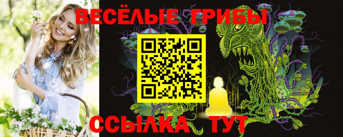 Георгиевск  купить наркоту  Вход с VPN  Галлюциногенные грибы мухоморы 